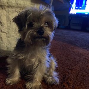 Meet your Posher, Sharday